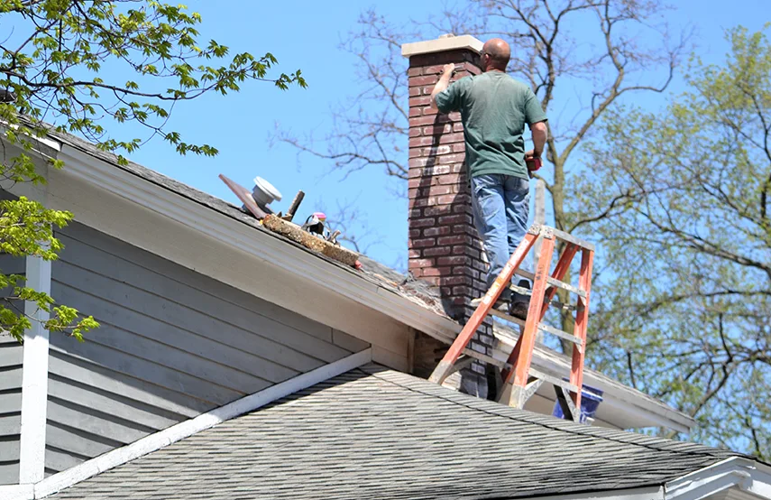 Chimney & Fireplace Inspections Services in Carrollton, GA